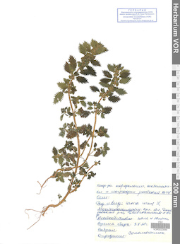 VOR 0023044