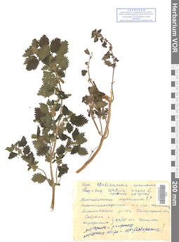VOR 0023043