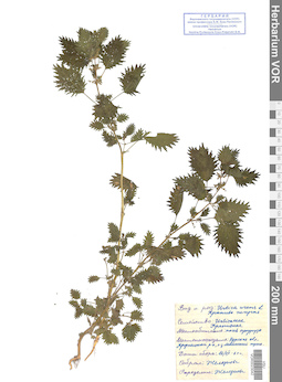 VOR 0023042