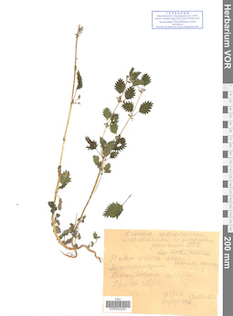 VOR 0023041