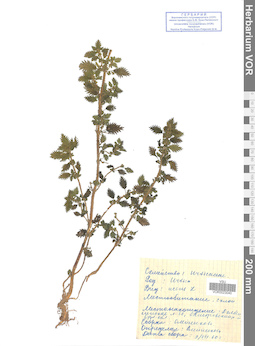 VOR 0023040