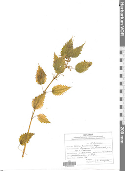 VOR 0023038