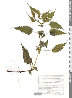 VOR 0023034