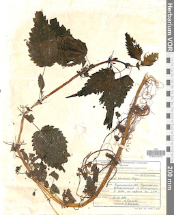 VOR 0023032