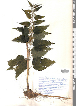 VOR 0022866