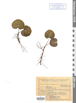 VOR 0024240