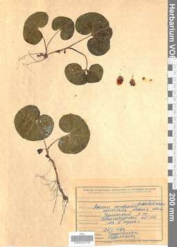 VOR 0022709