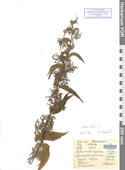 VOR 0022850