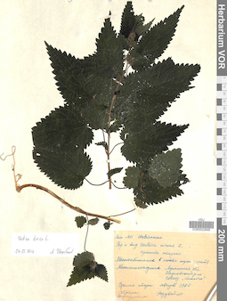 VOR 0022846