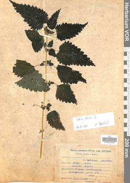 VOR 0022845