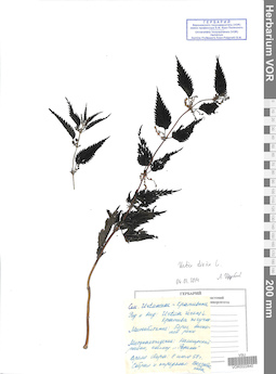 VOR 0022840