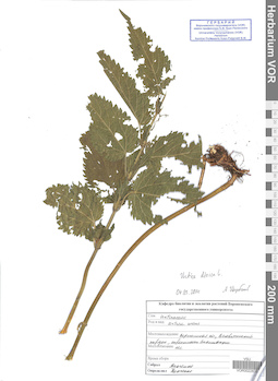VOR 0022838