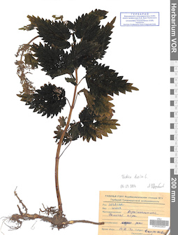 VOR 0022837