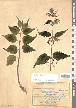 VOR 0022836