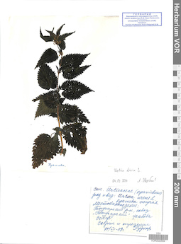 VOR 0022834