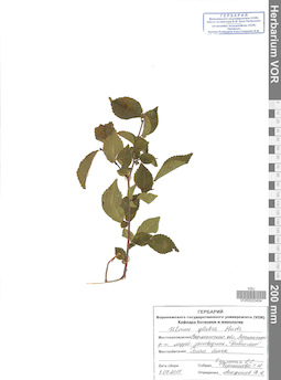 VOR 0023404