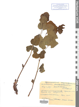 VOR 0022693