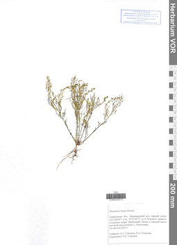 VOR 0040512