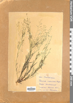 VOR 0024213