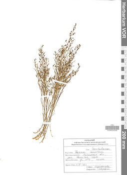 VOR 0024209