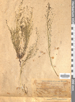 VOR 0024206
