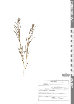 VOR 0024198