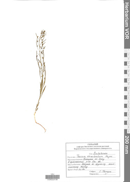 VOR 0024196