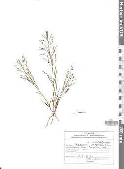 VOR 0024194