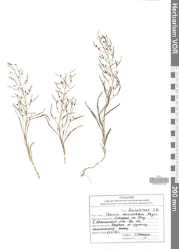 VOR 0024193