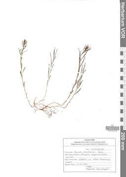 VOR 0024192