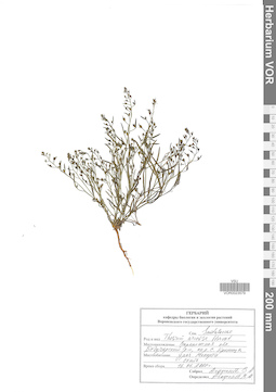 VOR 0023579