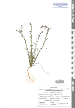VOR 0023575