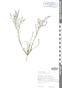 VOR 0023574