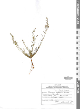 VOR 0023570