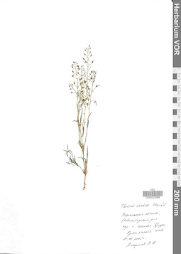 VOR 0023568