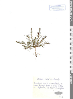 VOR 0023567