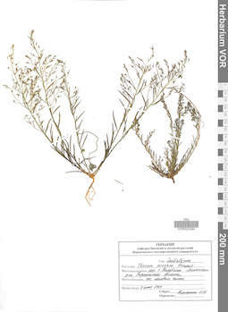 VOR 0023564