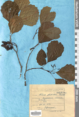 VOR 0025048