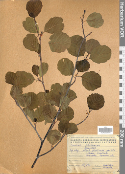 VOR 0025044
