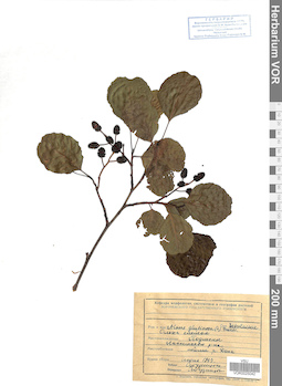 VOR 0025042