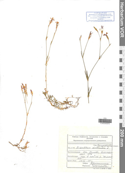 VOR 0040676