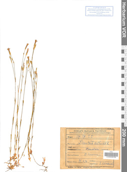VOR 0008789