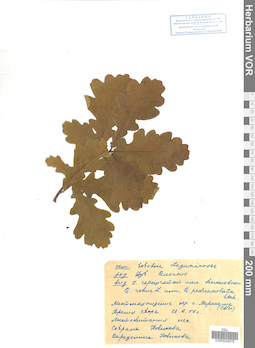 VOR 0024076