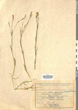 VOR 0008410