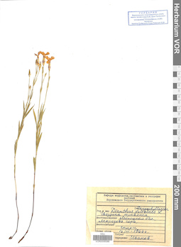 VOR 0008388