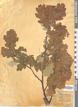 VOR 0024069