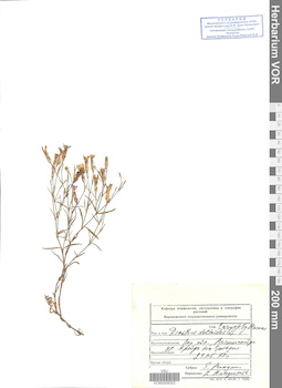 VOR 0008302