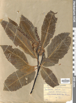 VOR 0025235