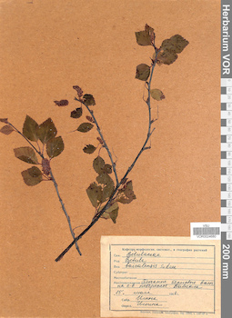 VOR 0024680