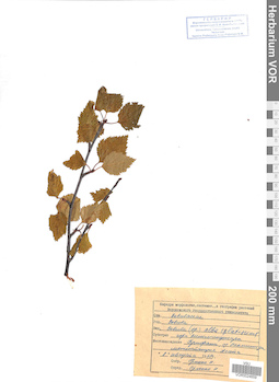 VOR 0024659